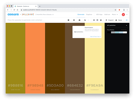 color palette offered by online app coolors